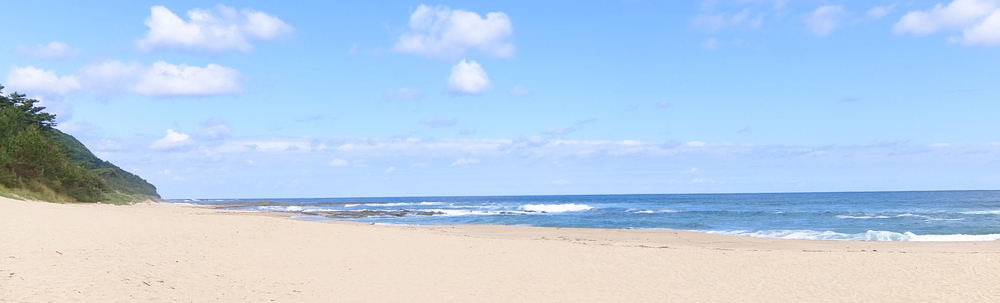 琴引浜掛津 カバー
