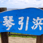 琴引浜掛津 プロフィール