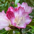 ル研究室 ビーチクリーン大作戦 プロフィール