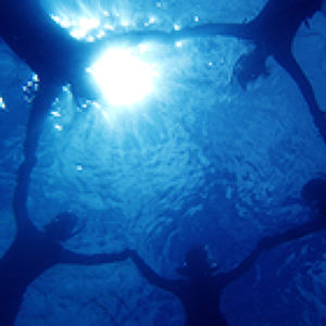 ダイビングショップ　SeaBowl(シーボウル)プロフィール