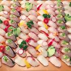 ピチピチにぎり寿司お披露目隊 プロフィール