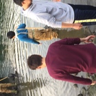 武蔵野大学 アリアケ海岸 プロフィール