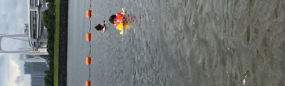 武蔵野大学 アリアケ海岸 カバー