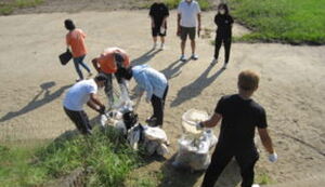 キレイキレイ作戦 アイキャッチ