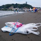 Team Norider プロフィール