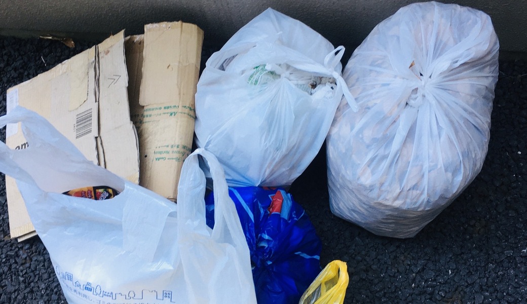 リハビリピツクアップ レポート