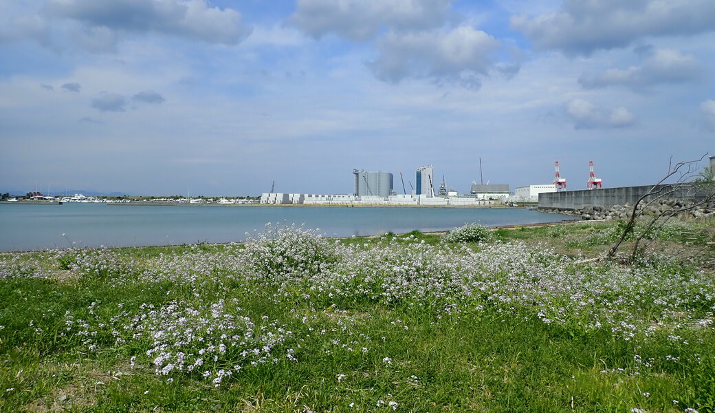 久々生海岸 里海プロジェクト アイキャッチ