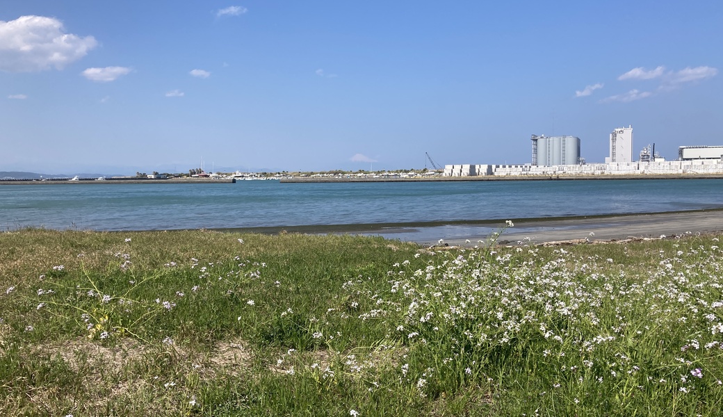 久々生海岸 里海プロジェクト アイキャッチ