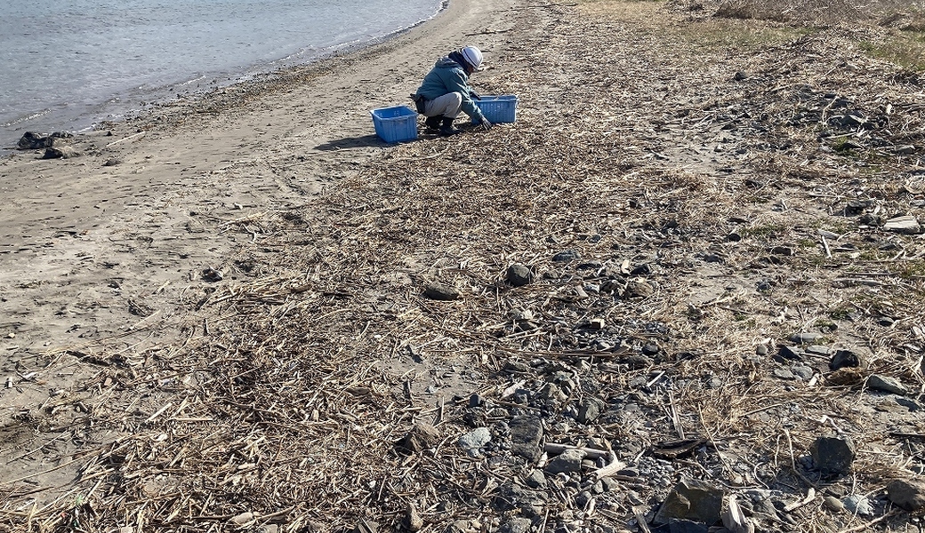 久々生海岸 里海プロジェクト アイキャッチ