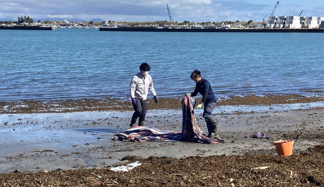 久々生海岸 里海プロジェクト アイキャッチ