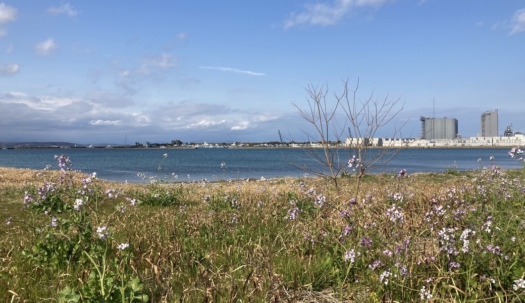 久々生海岸 里海プロジェクト アイキャッチ