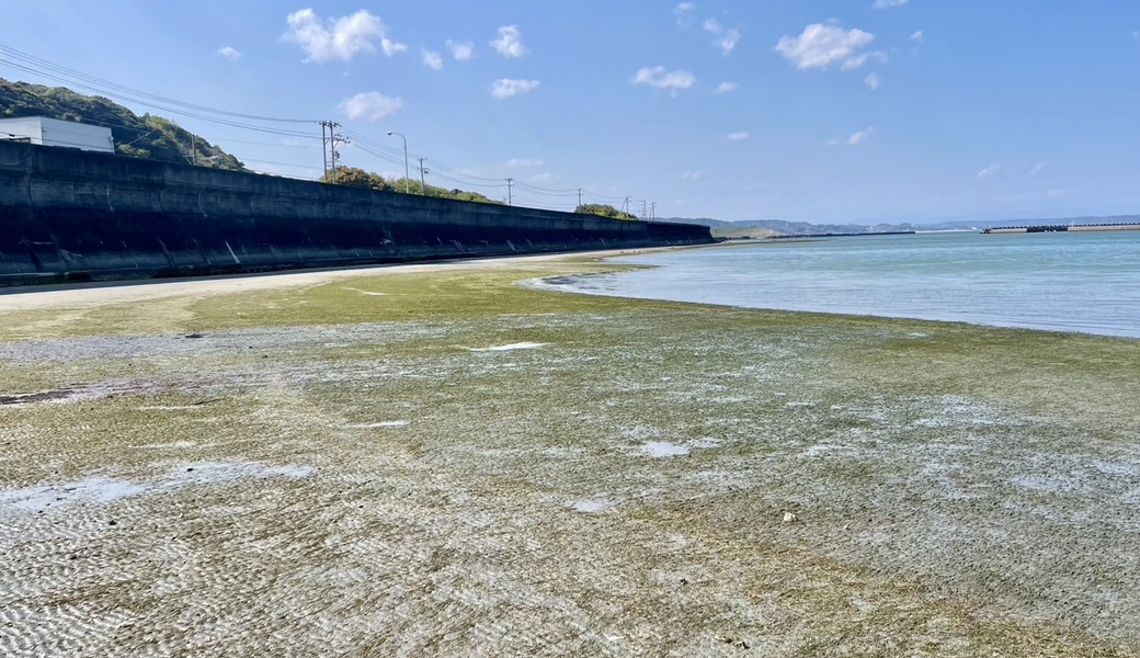 久々生海岸 里海プロジェクト アイキャッチ