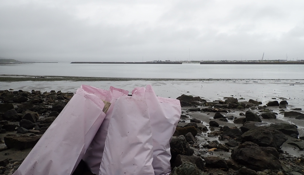 久々生海岸 里海プロジェクト　～ 平日ビーチクリーン ～ レポート