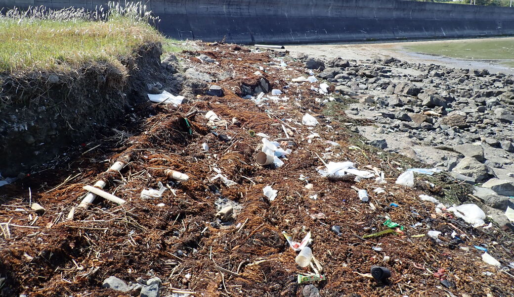 久々生海岸 里海プロジェクト　～ 平日ビーチクリーン ～ レポート