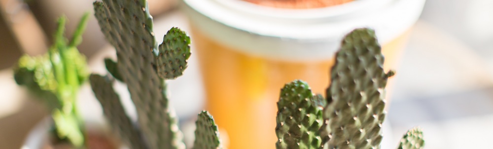 Botanical56 カバー