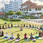 Heart to Heart Flow yoga プロフィール