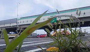 ヒデボンズmovement vol.2 アイキャッチ