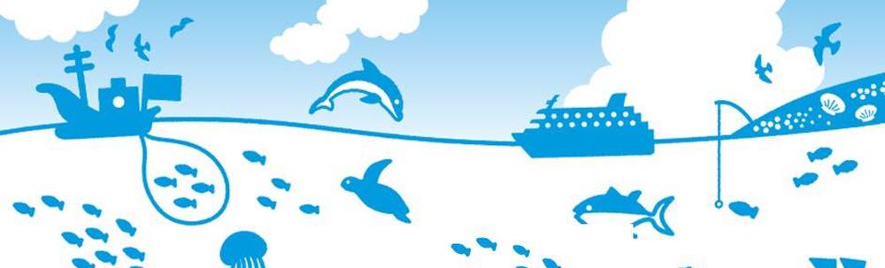 海と日本PROJECTin佐賀 カバー