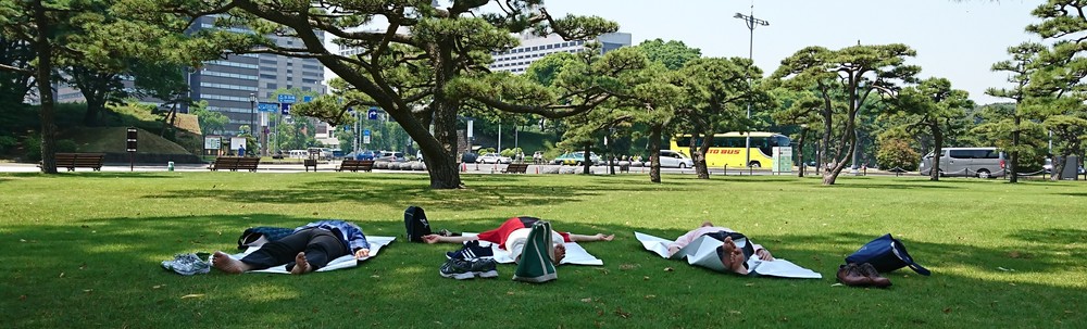 ちよだ@森の配達人 カバー