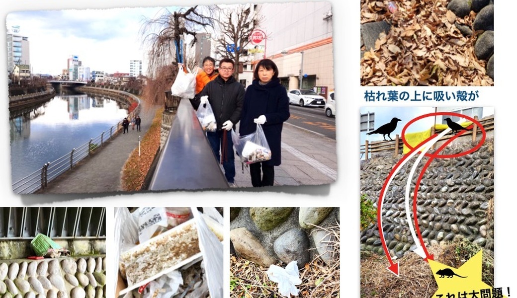 第56回 12月 宇都宮海さくらごみ拾い【日中ごみ拾い12】 レポート