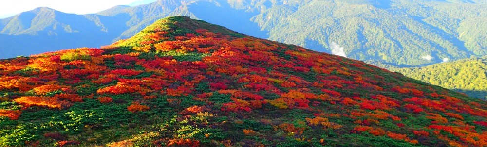 イーハトーヴォ安比高原自然学校 カバー