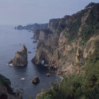 NPO法人　体験村・たのはたネットワーク プロフィール