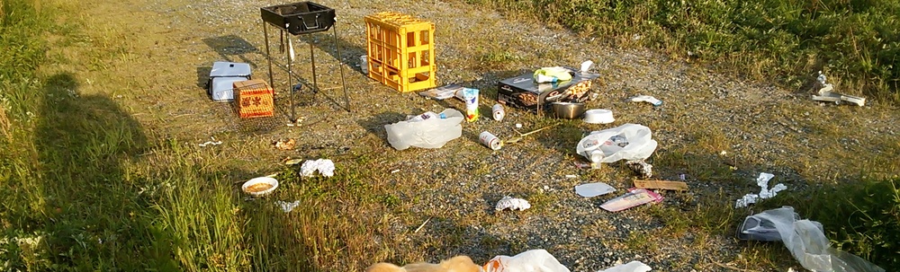 大口海岸を愛してる会 カバー