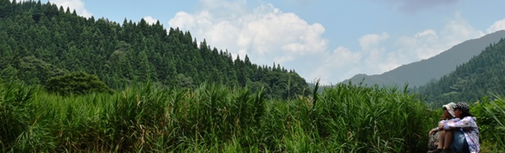NPO法人自然体験共学センター カバー