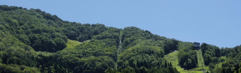 株式会社　オンウィップス カバー