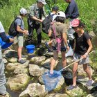 NPO法人新田環境みらいの会 プロフィール