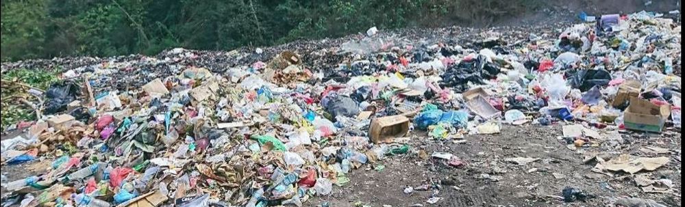 Bajo Bay Fisherman's Club カバー