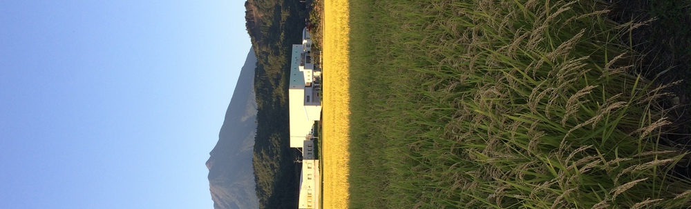 西目屋村キレイにし隊 カバー