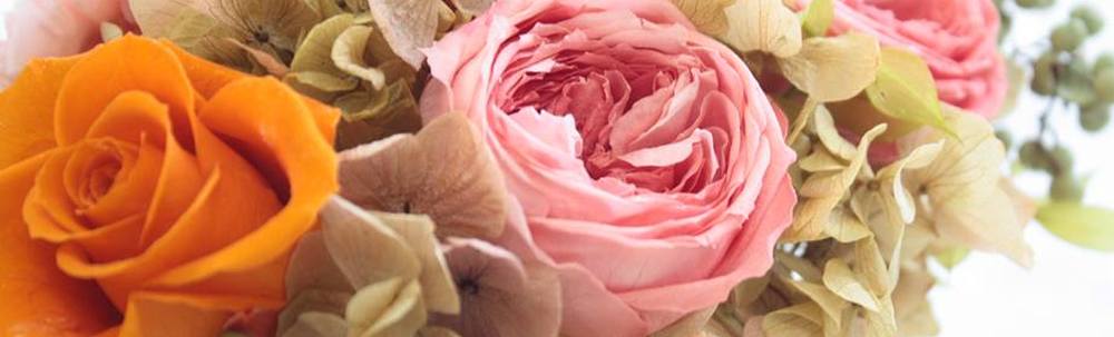 株式会社ニケ カバー