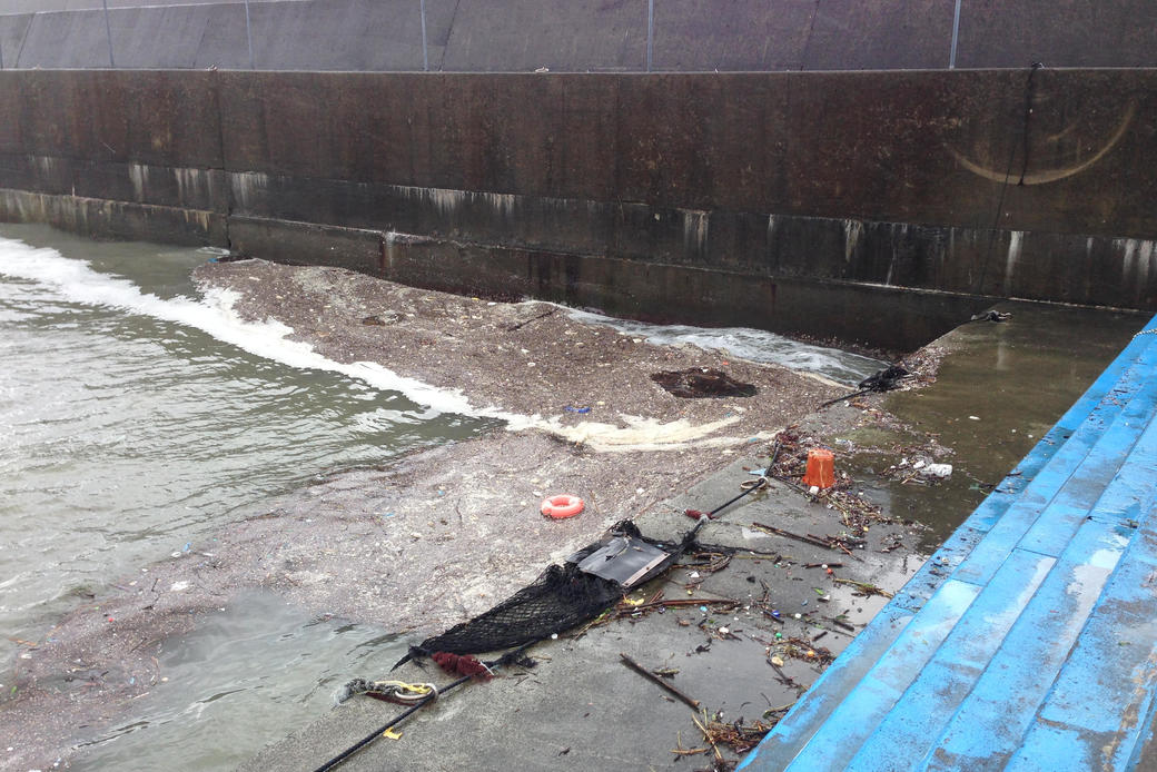 イルカの飼育は海のゴミとの戦いなのです。 アイキャッチ