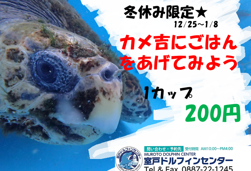 海のゴミが海洋生物の大敵なわけ アイキャッチ