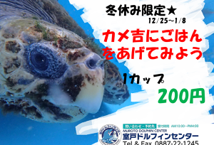 海のゴミが海洋生物の大敵なわけ アイキャッチ