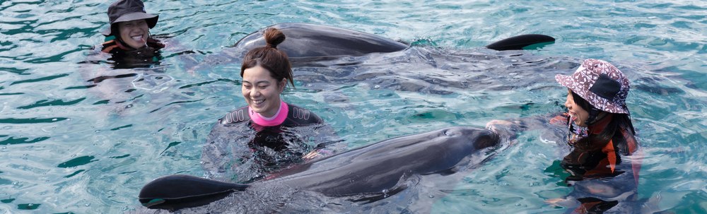 NPO法人室戸ドルフィンプロジェクト カバー