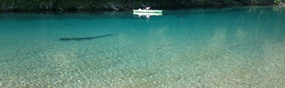 北川流域ネット カバー