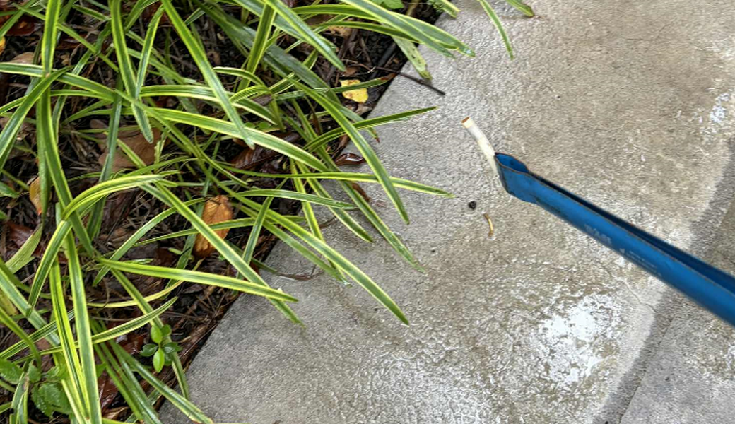 【六本木】仮装しながらゴミ拾い！ハロウィン街いく探検隊 レポート