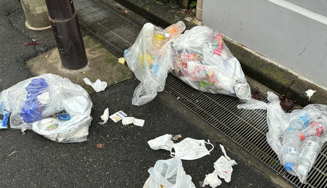 【荒天予報のためスタッフのみの活動です】【大人限定】 国領神社ビアフェスまでまち歩きしながらごみ拾い！ レポート