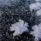 然別湖ネイチャーセンター プロフィール