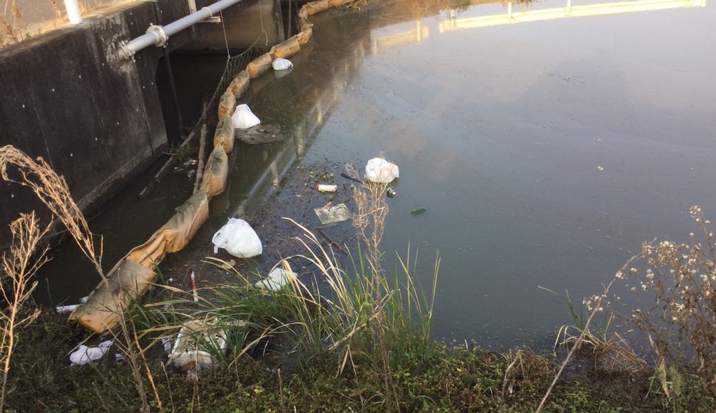 幸せ拾い96 アイキャッチ