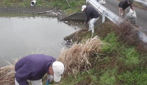 幸せ拾い87　 アイキャッチ
