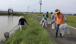 WCD2020幸せ拾い94 アイキャッチ