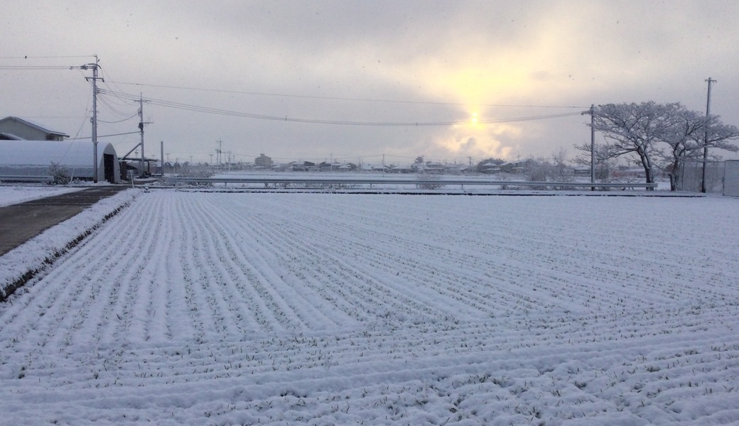 【雪の為中止致します】幸せ拾い119 レポート