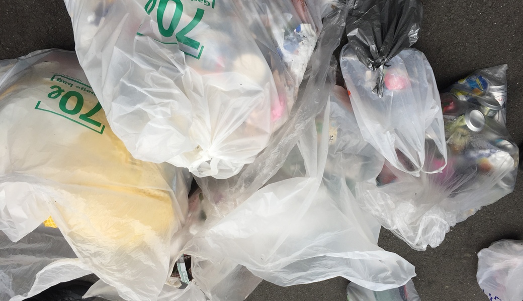 第96回渋谷新洗組 レポート