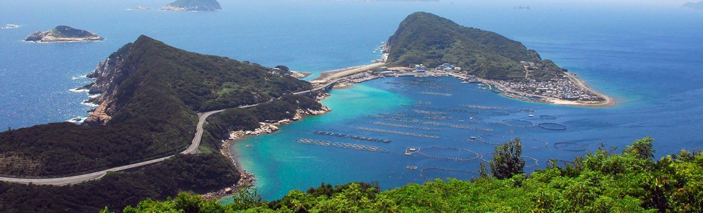 NPO法人黒潮実感センター カバー