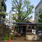 北浜こども冒険ひろば プロフィール