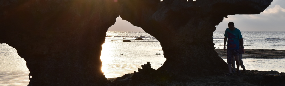 TURTOISE KOURI カバー