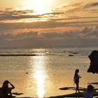 TURTOISE KOURI プロフィール